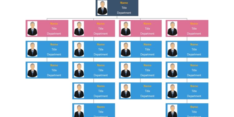 Phần mềm vẽ sơ đồ tổ chức Edrawmax chuyên nghiệp bản chuẩn