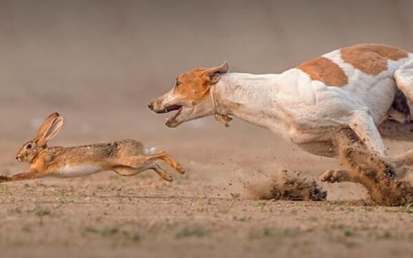 Bài học về lương thưởng qua câu chuyện ngắn