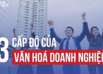 Các cấp độ văn hóa doanh nghiệp nhà lãnh đạo cần biết