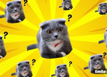 Những sự thật thú vị khi đi làm của nhân viên