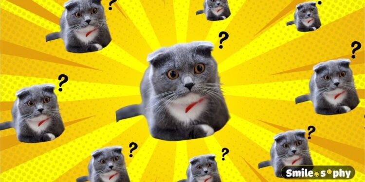 Những sự thật thú vị khi đi làm của nhân viên