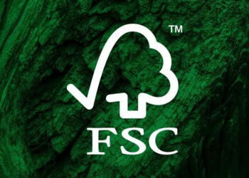 Chứng nhận FSC là gì? Nguyên tắc tiêu chuẩn FSC