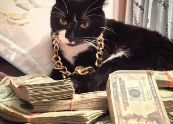 Flex Là Gì? Giới Trẻ Ngày Nay Thích Flex