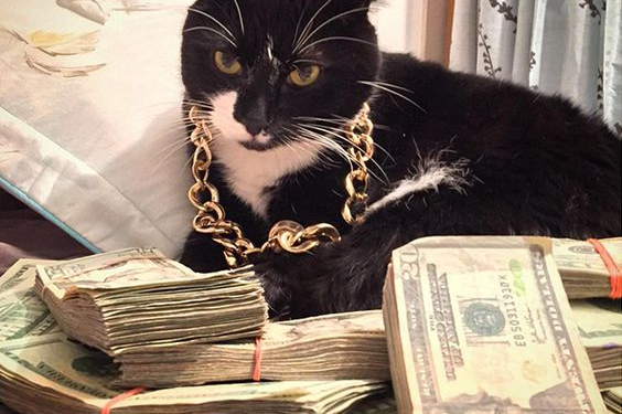 Flex Là Gì? Giới Trẻ Ngày Nay Thích Flex