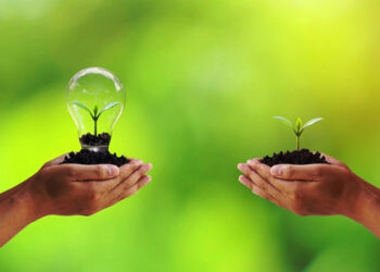 Môi trường xanh là gì? Hướng bảo vệ môi trường xanh