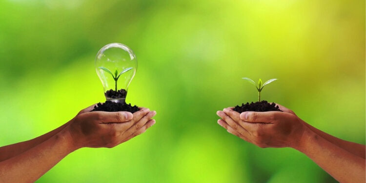 Môi trường xanh là gì? Hướng bảo vệ môi trường xanh