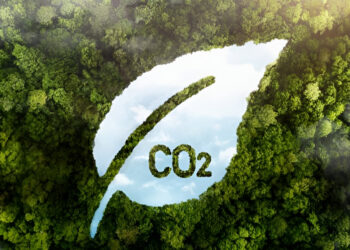 Tín chỉ Carbon là gì? Tổng quan về thị trường Carbon