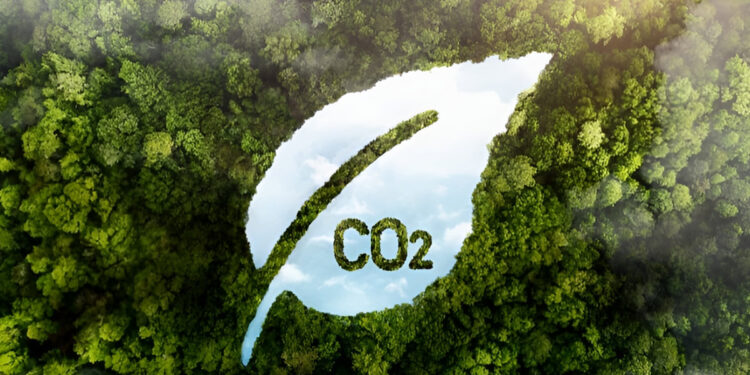 Tín chỉ Carbon là gì? Tổng quan về thị trường Carbon