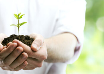 Phát triển là gì? Ý nghĩa của sự phát triển