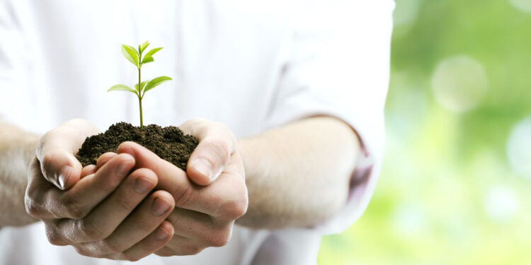 Phát triển là gì? Ý nghĩa của sự phát triển