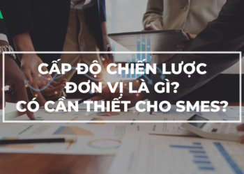 Định nghĩa cấp độ chiến lược đơn vị? Tầm quan trọng?