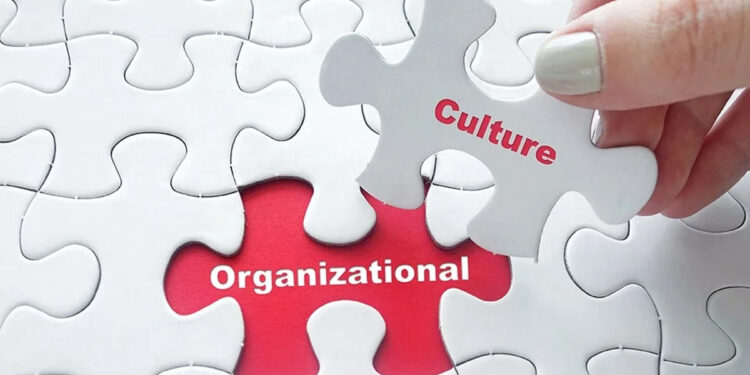 Văn hóa tổ chức là gì? 3 Cấp độ văn hóa tổ chức