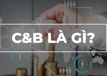 C&B LÀ GÌ? Vai trò của C&B trong doanh nghiệp?