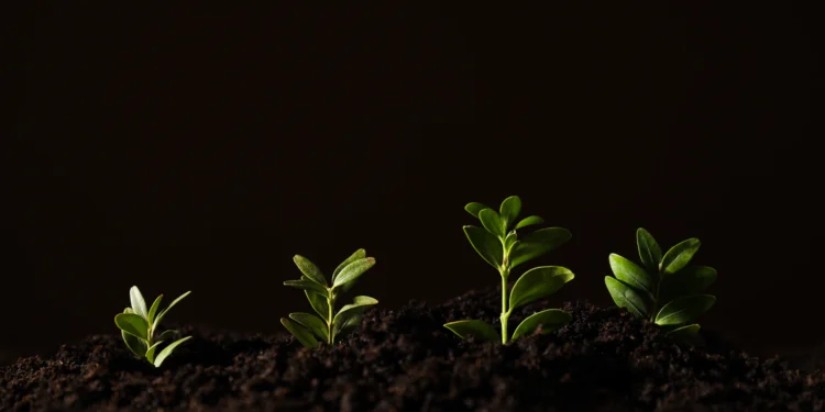 Giữ vững và phát triển sự thay đổi lâu dài