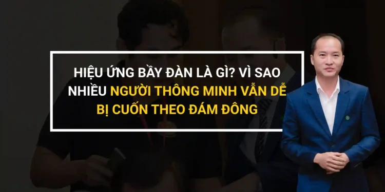 Hiệu ứng bầy đàn và tư duy độc lập trong quyết định cá nhân